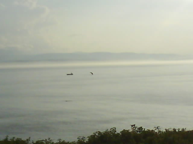 Forillon NP 056 Humpback next to 48 passenger whale boat with Minke in foreground.jpg